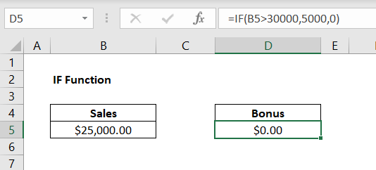 IF Function Data Set